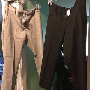 Limited Pants size 10P